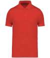 NS200 Native Spirit Jersey Polo Shirt Paprika colour image